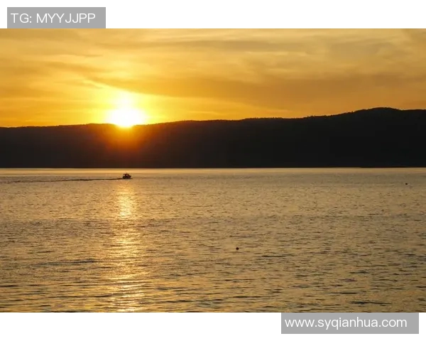 利智现役足球明星名单及其精彩瞬间的全景展示