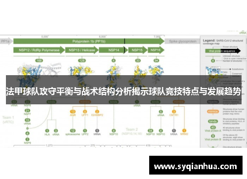 法甲球队攻守平衡与战术结构分析揭示球队竞技特点与发展趋势
