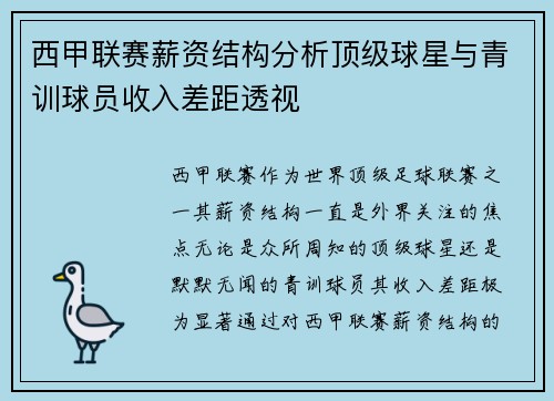 西甲联赛薪资结构分析顶级球星与青训球员收入差距透视